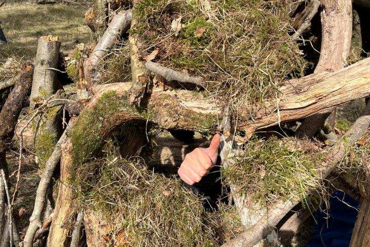 a group of men standing next to a tree