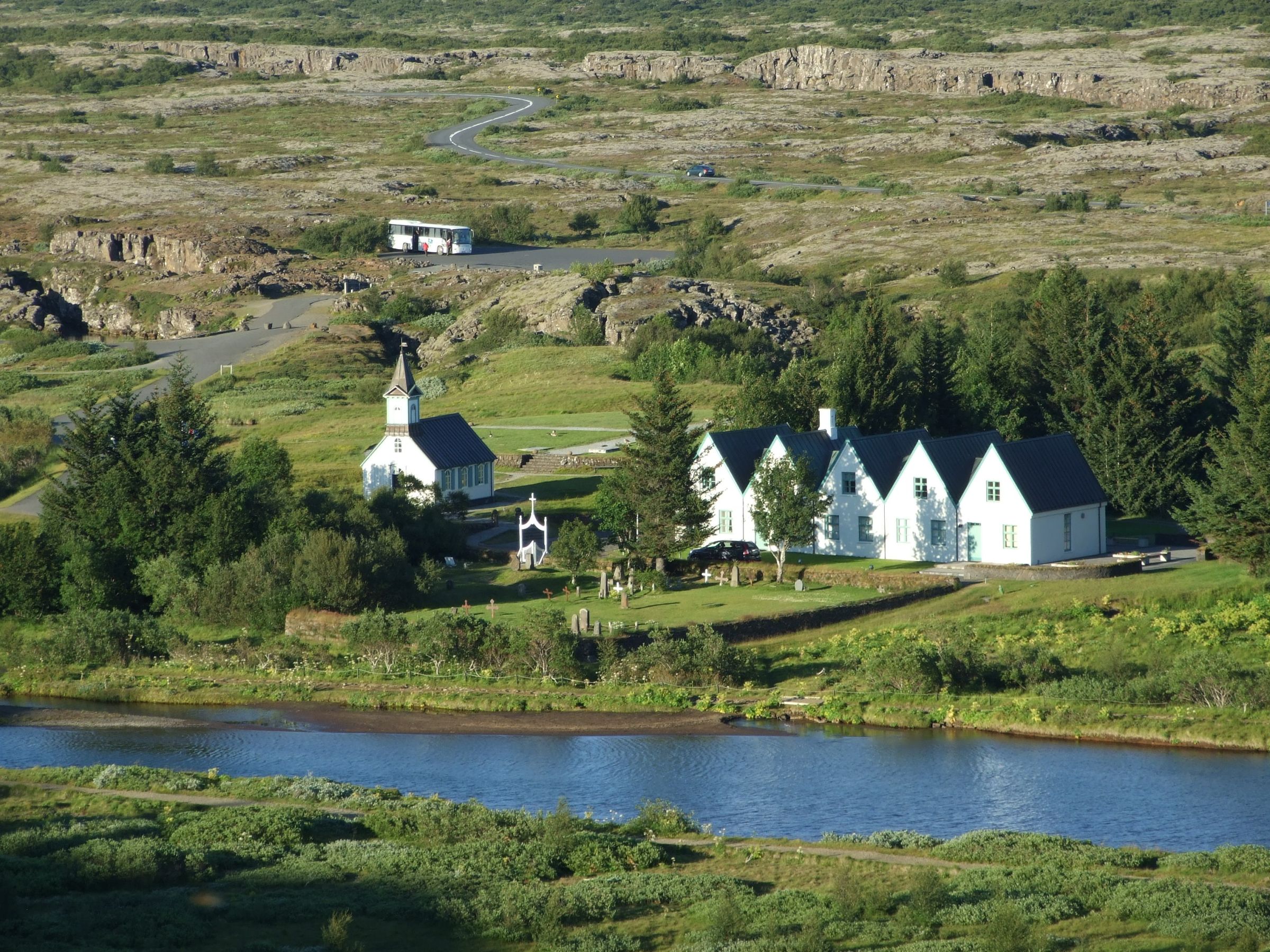 a flock of birds flying over a body of water