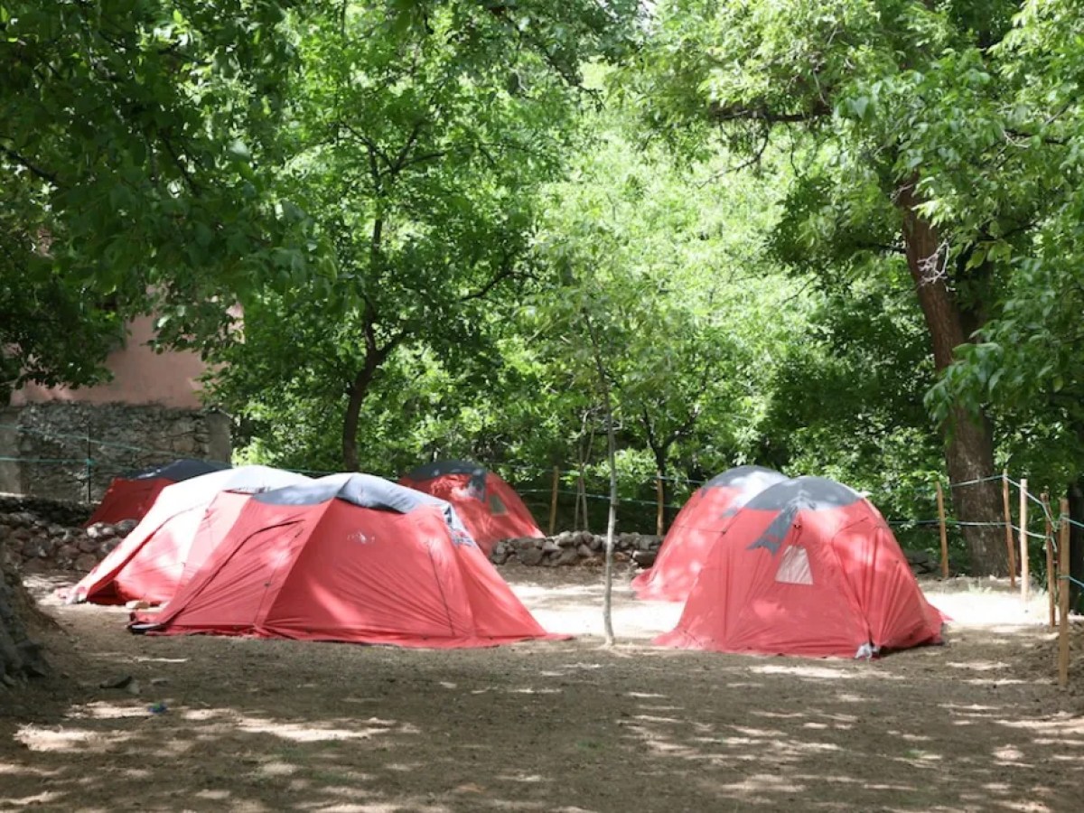 a person with a pink umbrella