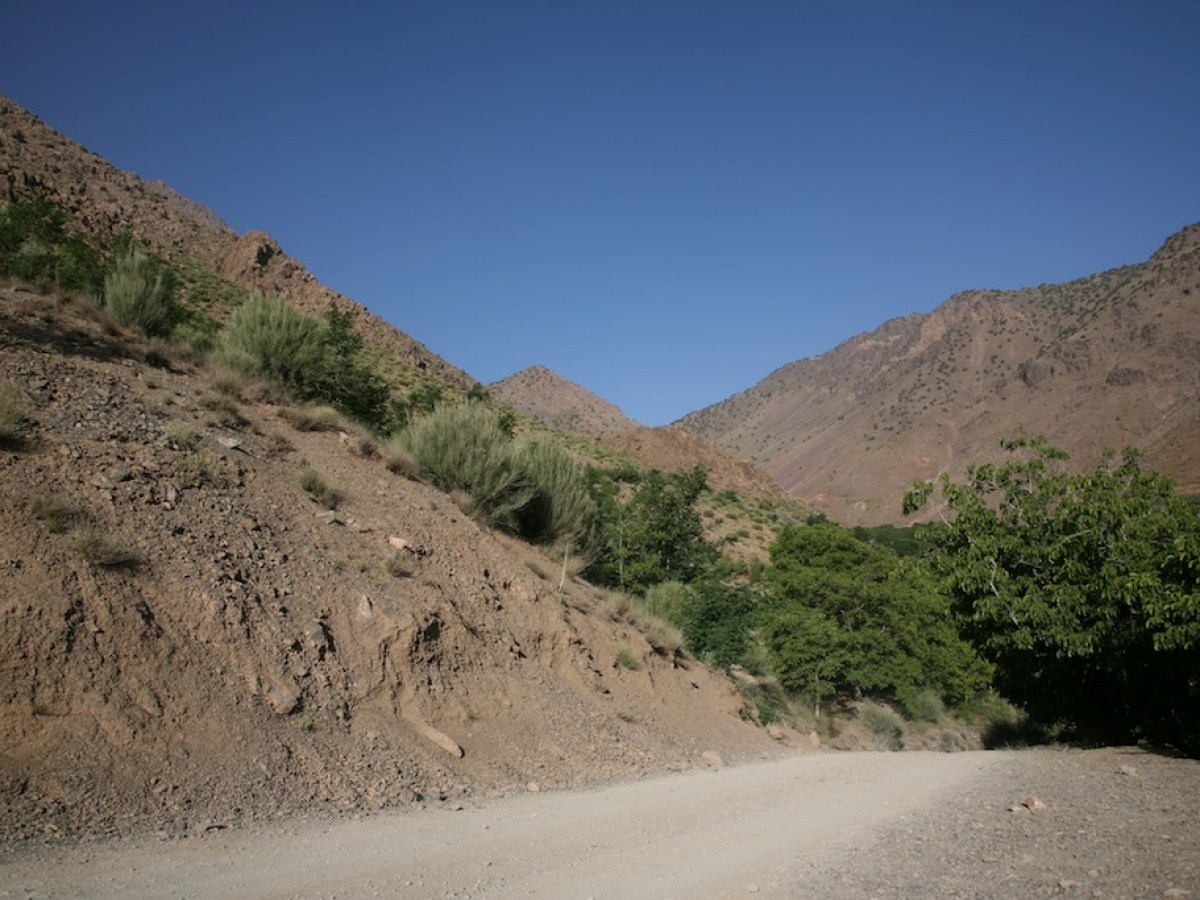 a dirt road with trees on the side of a mountain